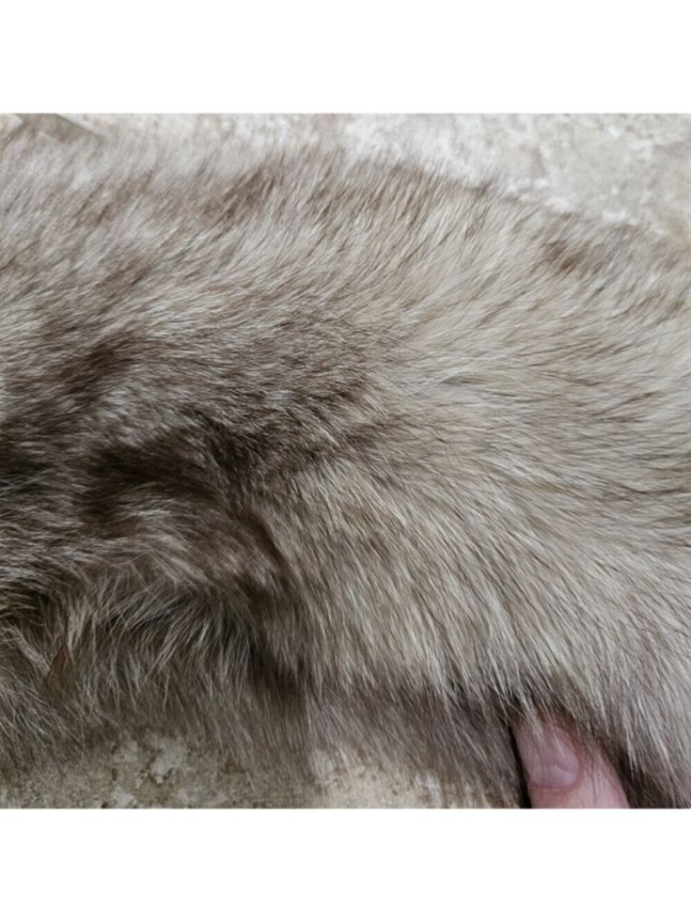 Vintage Womens 32" Collar Silver Fox Fur Stole Frost Statement Quiet Luxury Rare - Picture 6 of 7